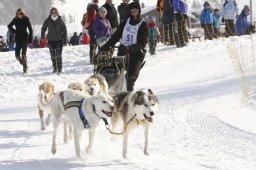 Lenk 2012 SM